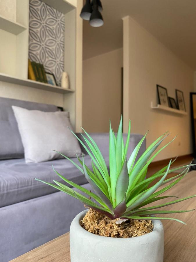 Hermoso Apartamento Con Piscina Miraflores- Canvas 利马 外观 照片